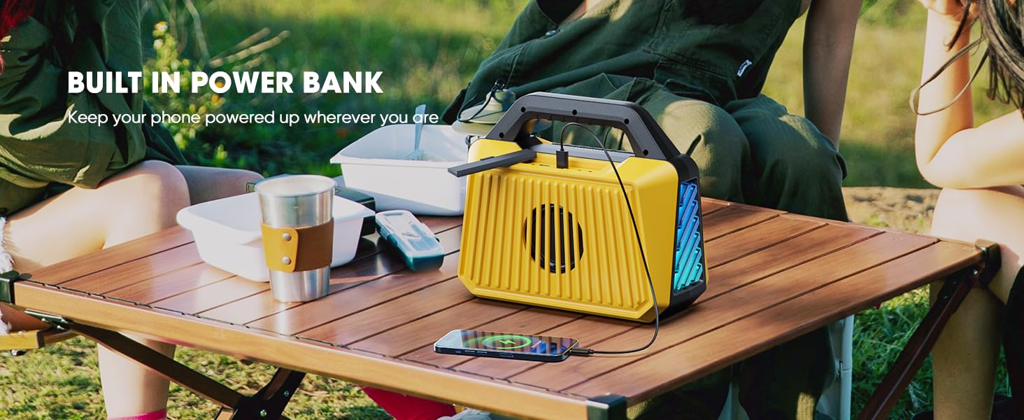 Power bank