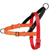Didog No Pull Dog Harness with Soft Padded Handle, Quick Fit &amp; Lightweight Adjustable Vest Harnes...