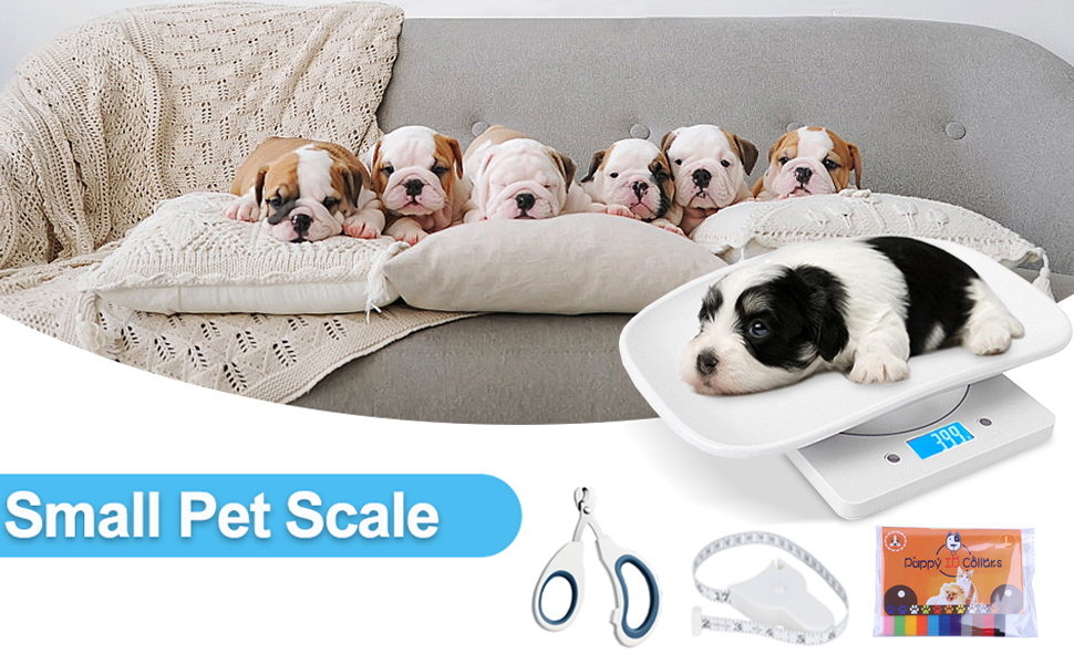 puppy scale