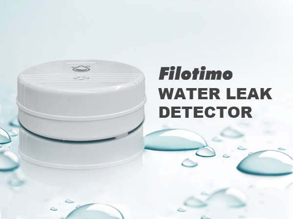 WATER LEAK DETECTOR