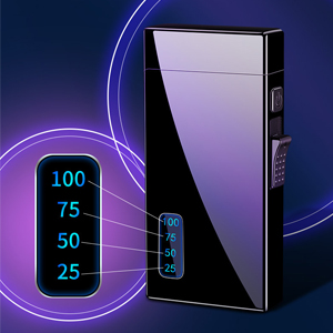 Dual Lighter and Jet Torch Lighter