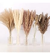 N&T NETING 75Pcs Pampas Grass Decor-10Pcs White Pampas Grass, 20Pcs Brown Pompous Grass, 10Pcs Bu...