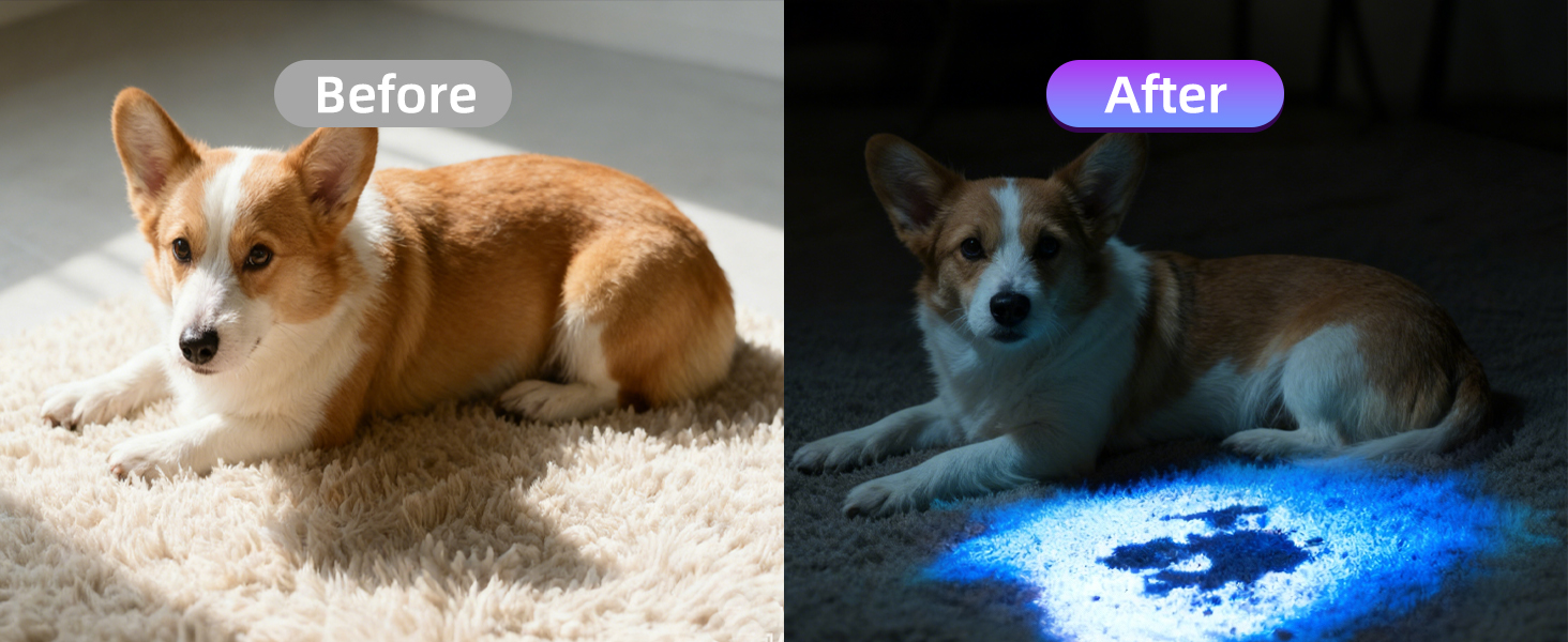 black light for pet urine detection