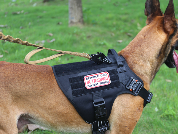 dog harness vest