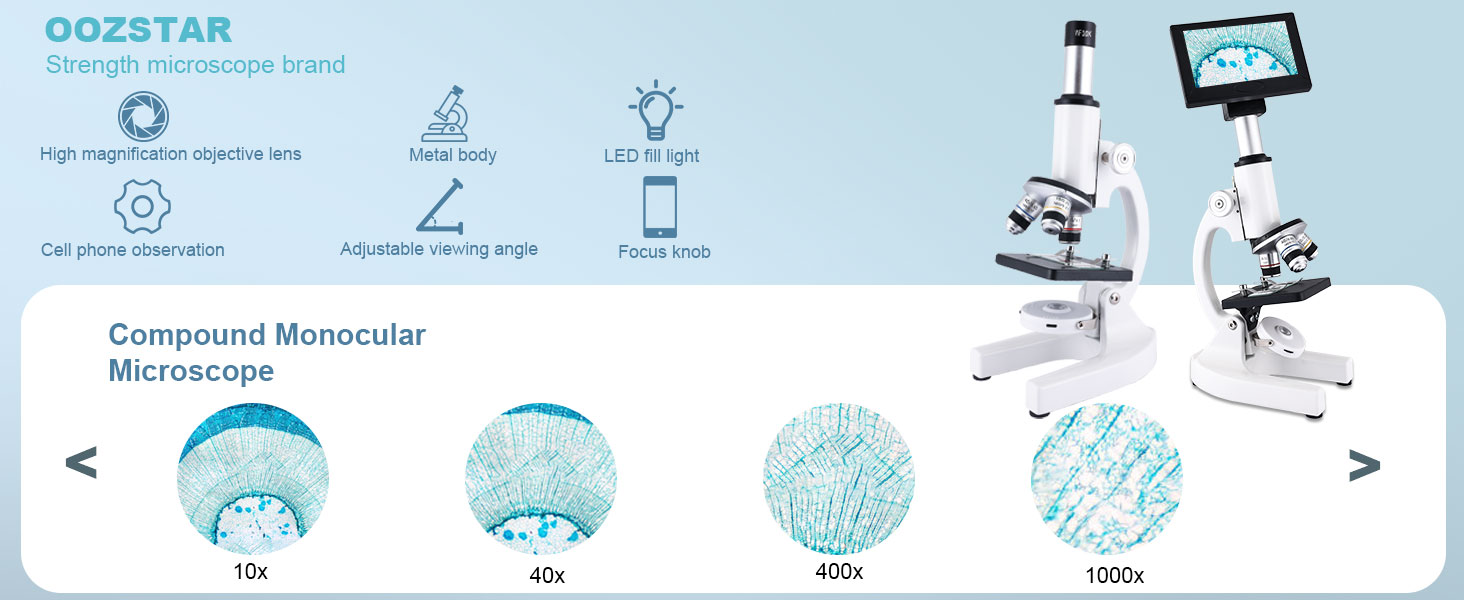 Microscope