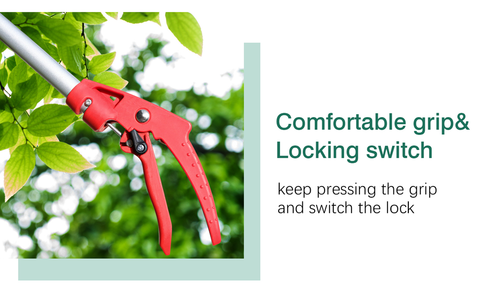 cut and hold pruner