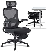 FLEXISPOT Foldex Ergonomic Office Chair, Folding Chair for Small Spaces with Lumbar Support, Flip...