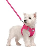 rabbitgoo Dog Harness Small Sized and Leash Set, Step in Soft Light Puppy Vest, Breathable Mesh P...