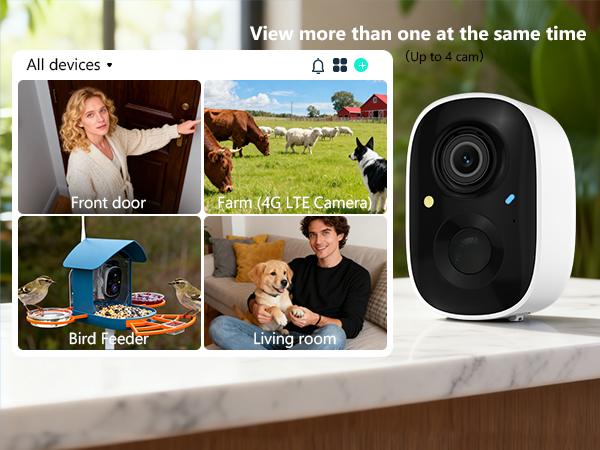 Peek at Multiple Feeds