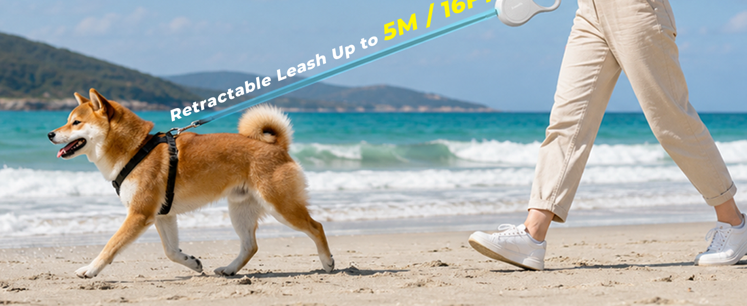 dog leash for small dogs
