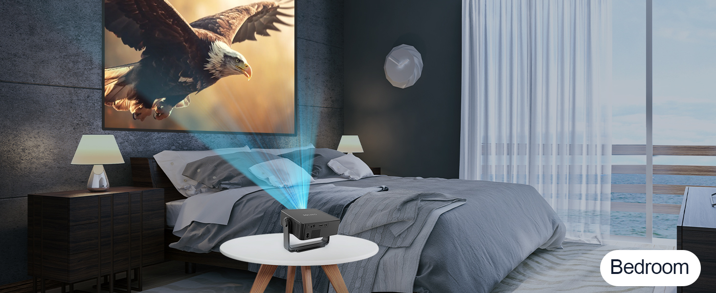 home projector