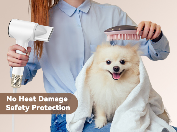 professional hair dryer