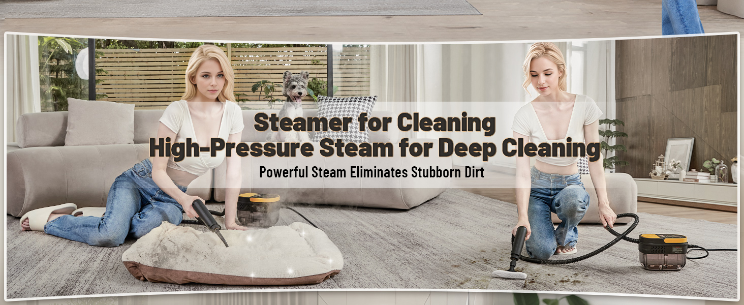steam cleaner, steamer for cleaning, handheld steam cleaner, steam cleaner for home, steam cleaner