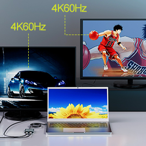 USB C to Dual DisplayPort adapter