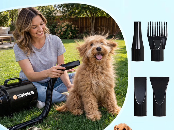 high velocity dog dryer