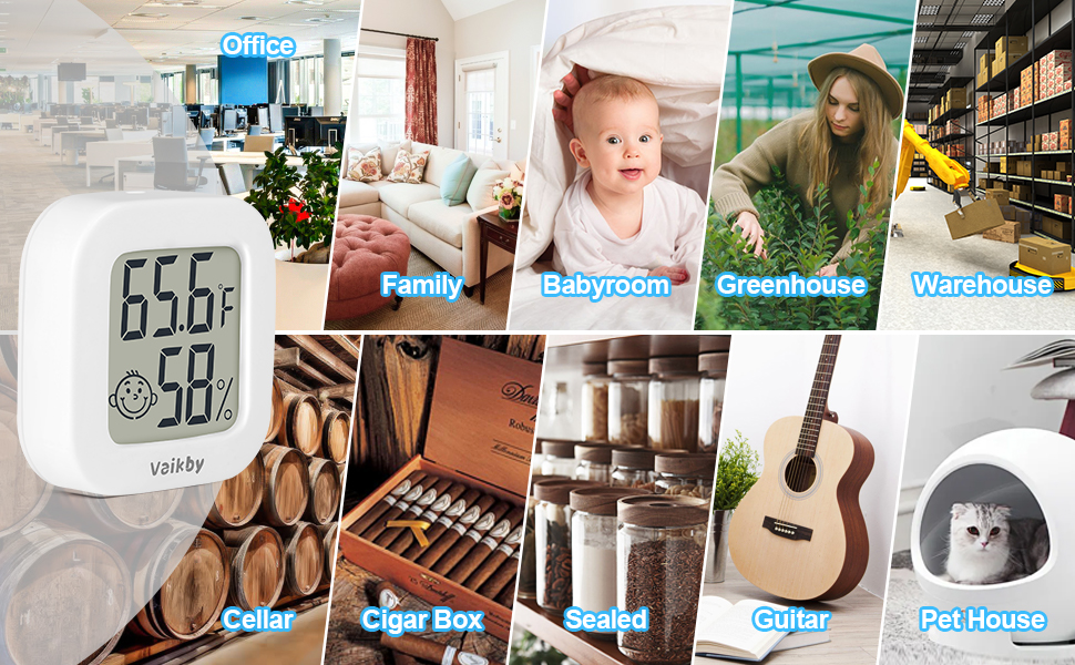 thermometer and humidity gauge