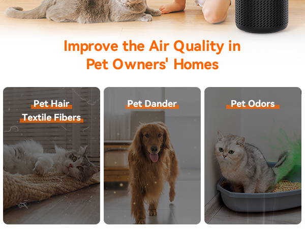 pet air purifiers for home