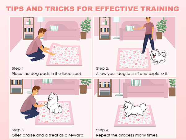 tips for training your dogs