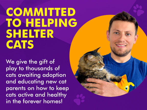 Cat Amazing donates cat toys, interactive cat toy, interactive feeder, cat enrichment, cat puzzles