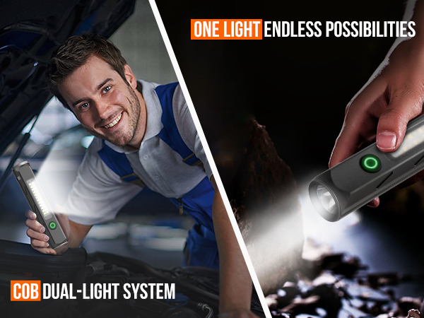 COB DUAL-LIGHT SYSTEM