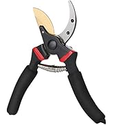 Mr. Pen- Pruning Shears, Garden Shears, 8" Professional, Garden Scissors, Gardening Shears, Garde...