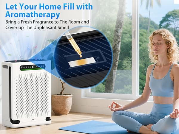 air cleaners for home