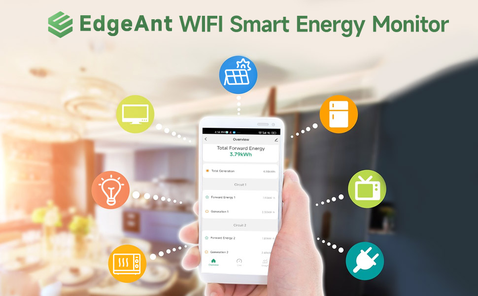 Energy monitor