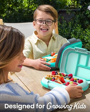 popular lunch containers, salad bowls, meal prep, adult lunch containers, lunch boxes for work