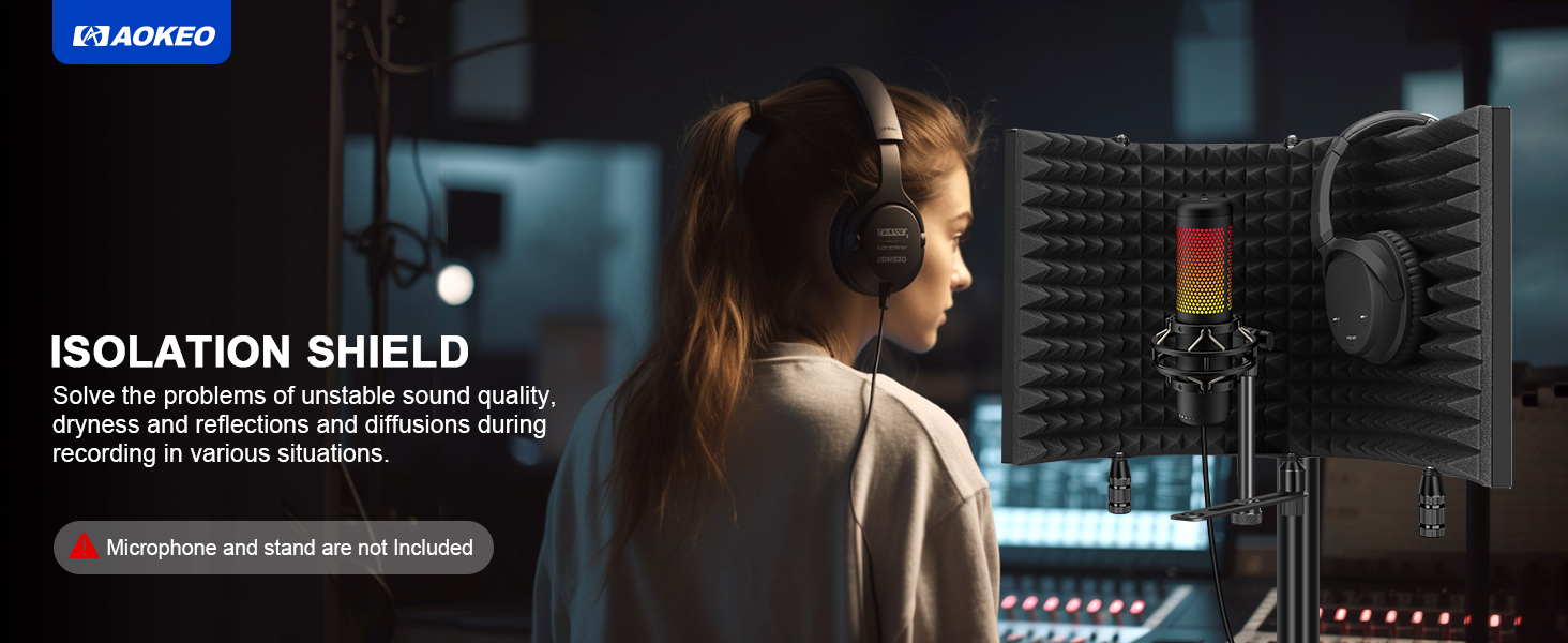 microphone filter