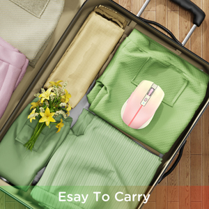 RAPIQUE R110 PinK Bluetooth Mouse ??