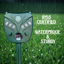 IP65 CERTIFIED