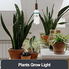 plant grow light