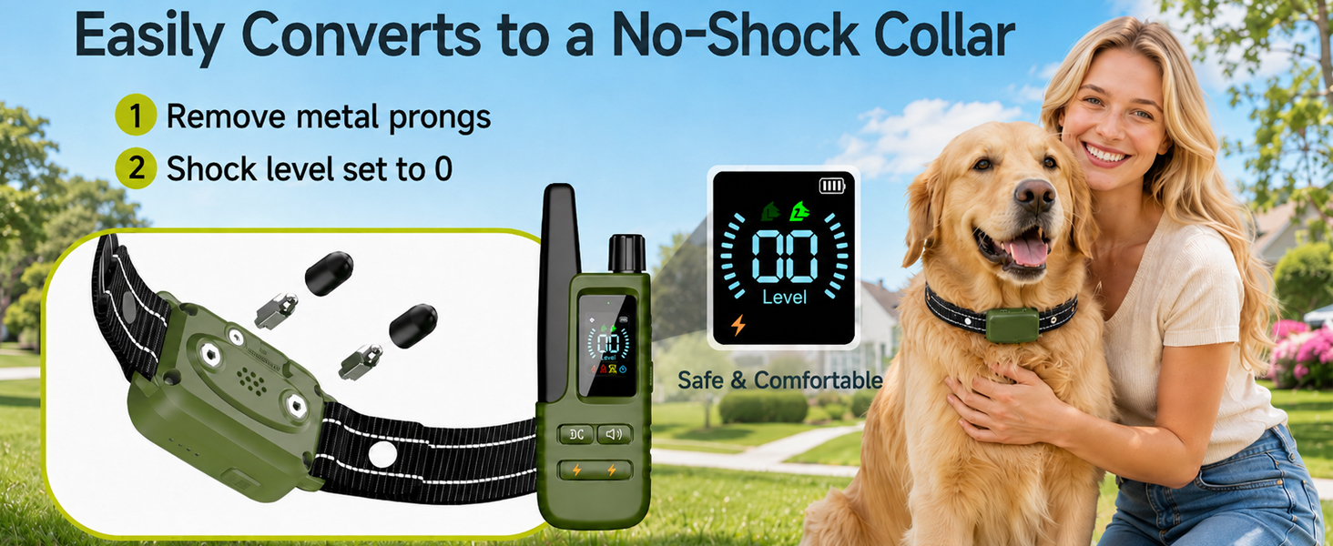 shock collar