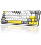 60% Mechanical Gaming Keyboard, 68 Keys Hot-Swappable Compact Blue LED Backlit Gaming Keyboard, M...