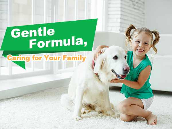 Laundry Detergent Sheets