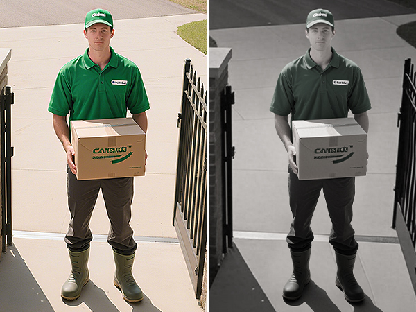 doorbell camera wireless