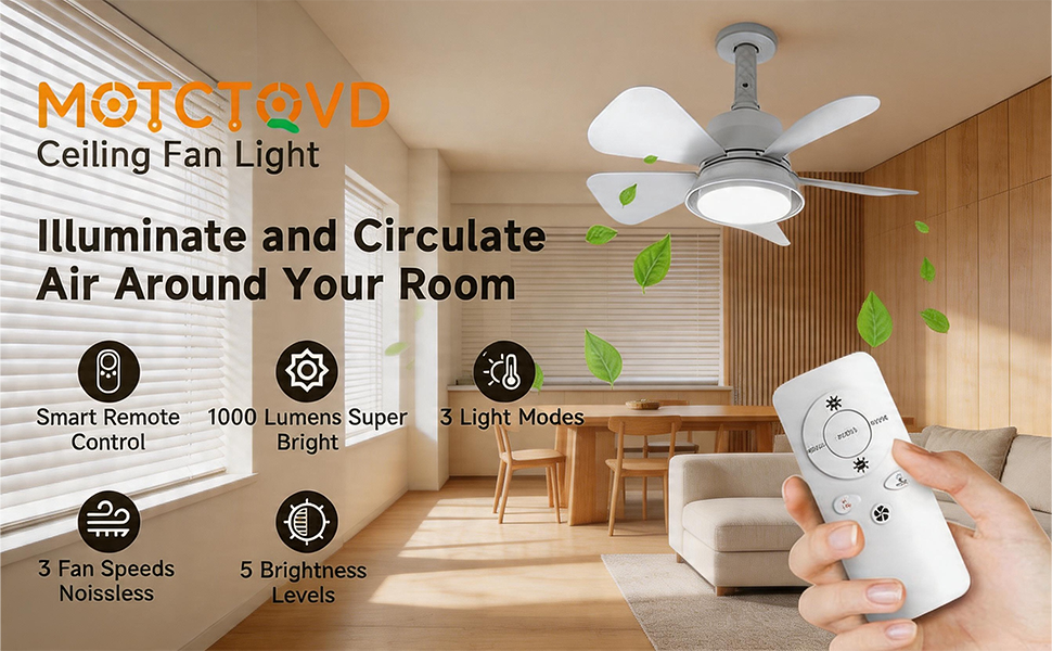 Ceiling Fan with Light