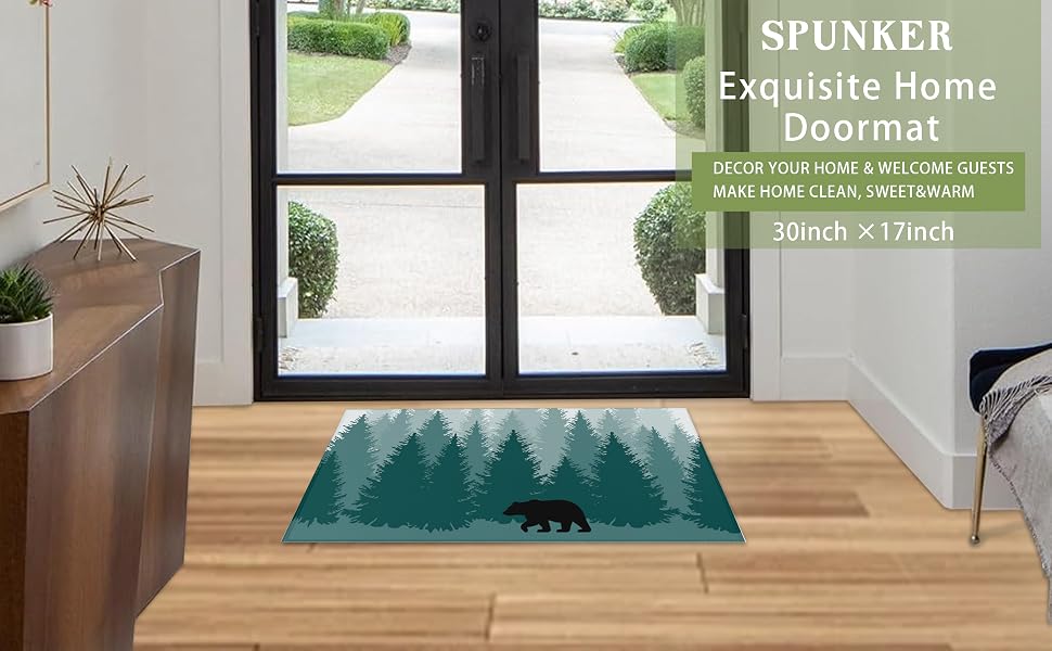 Front Door Mat Doormat Indoor Outdoor Rugs