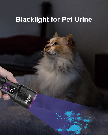 uv flashlight pet urine detector