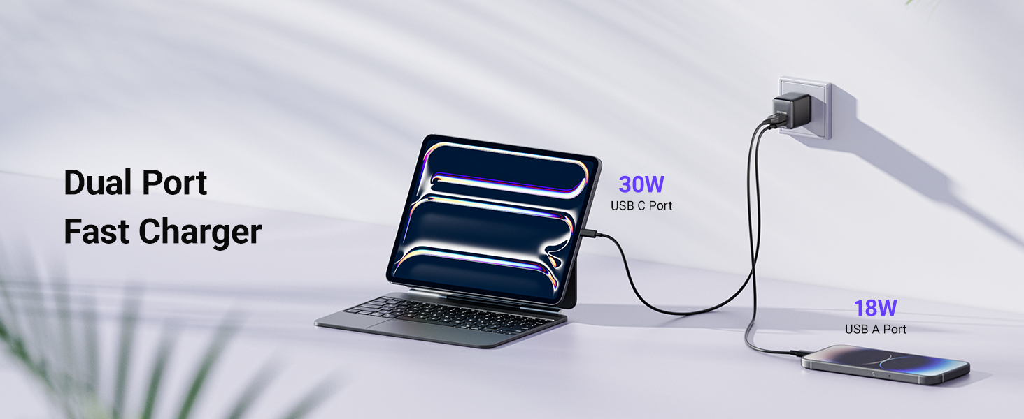 dual port fast charger