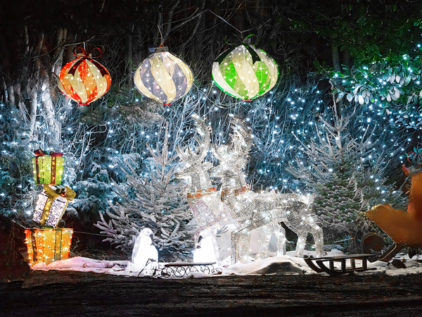 Solar garden string lights