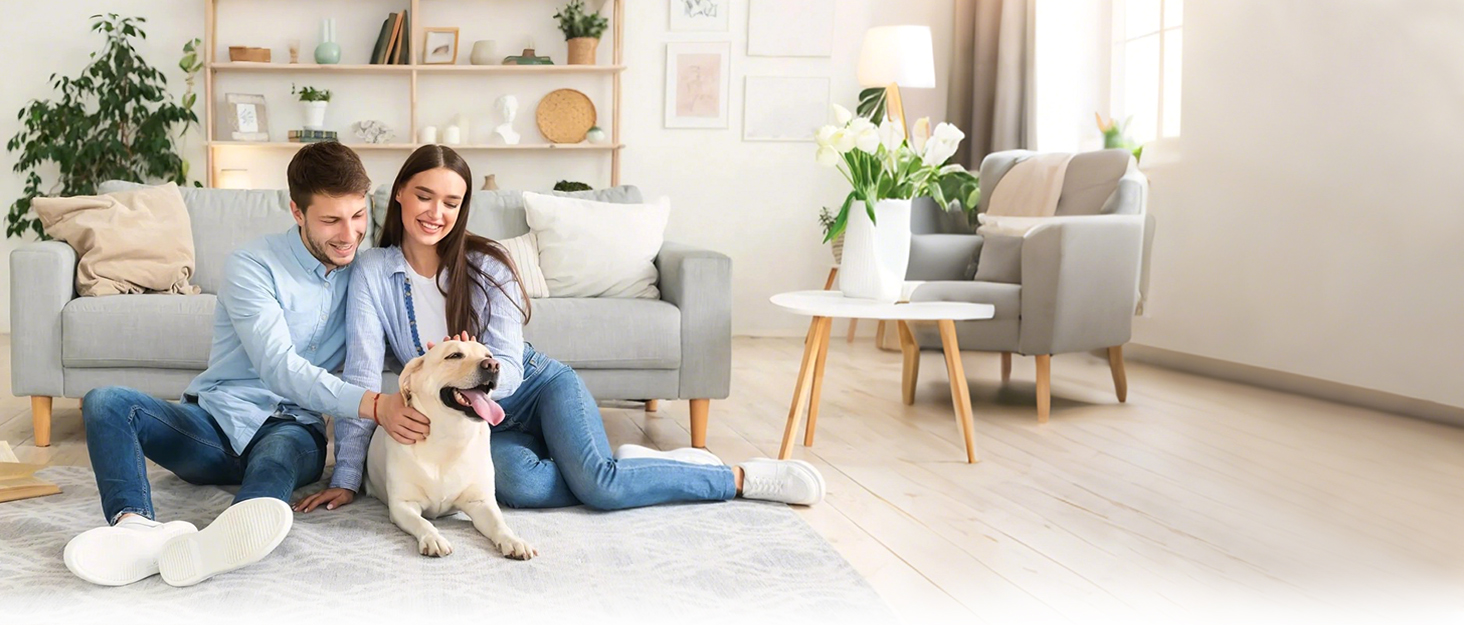 air purifiers for home