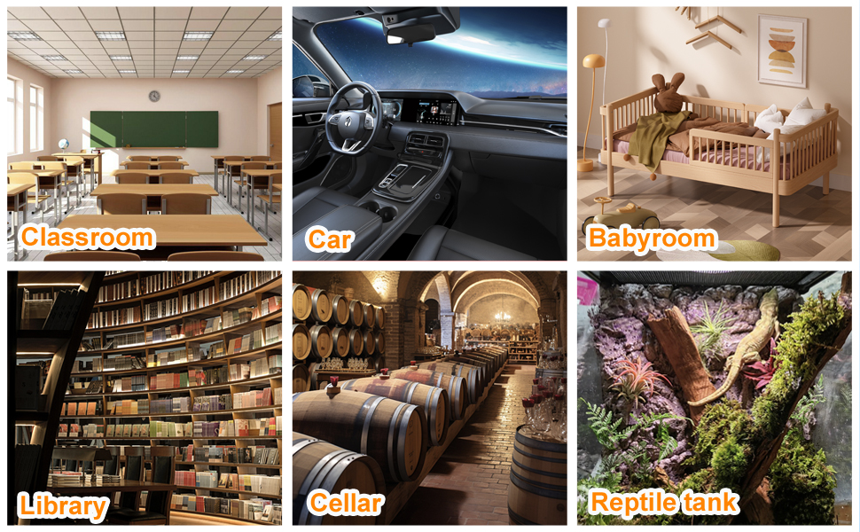 Text reads 'Classroom', 'Car', 'Babyroom', 'Library', 'Cellar', 'Reptile tank'. Collection of labeled interior photos showing different rooms and environments including educational, automotive, residential and specialized spaces.