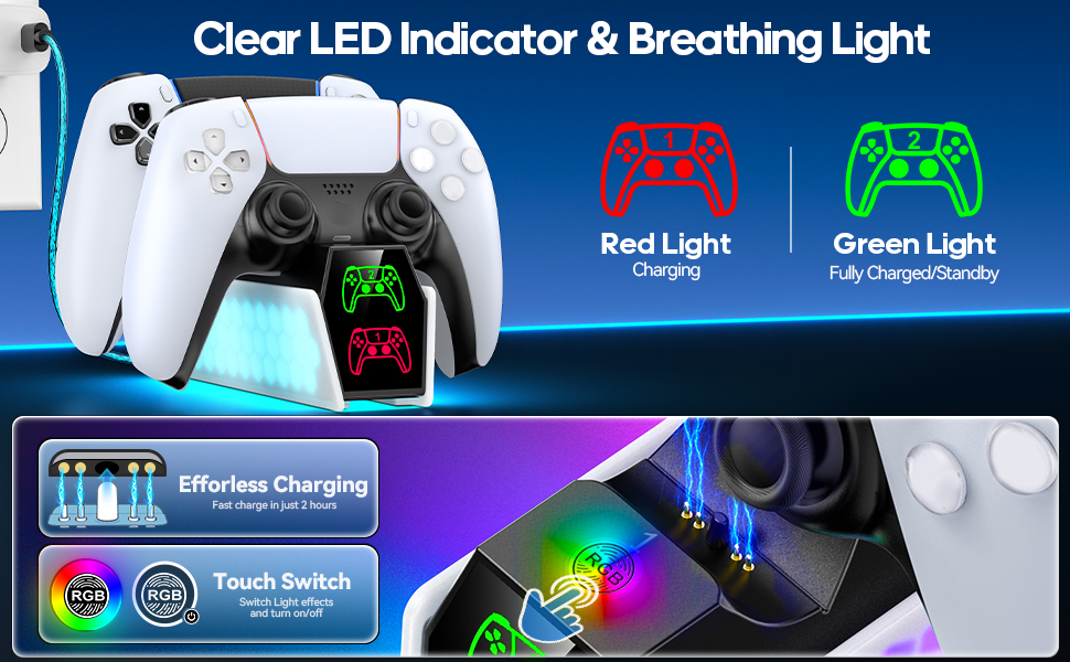 P5 Controller charger