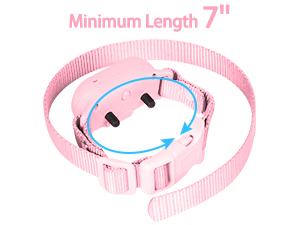 dog training collar