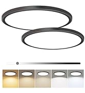2 Pack 12 Inch Dimmable LED Flush Mount Ceiling Light Fixture 28W 3200LM 5 Color Temperature in O...