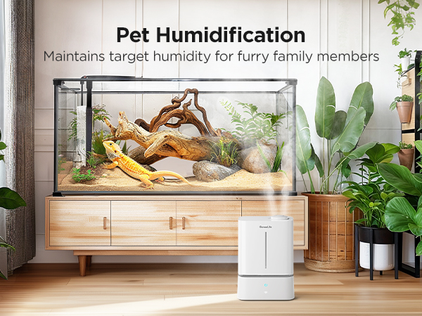 pet humidification