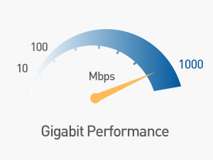 Cable Matters USB-C Ethernet Switch 