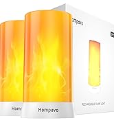 LED flame light