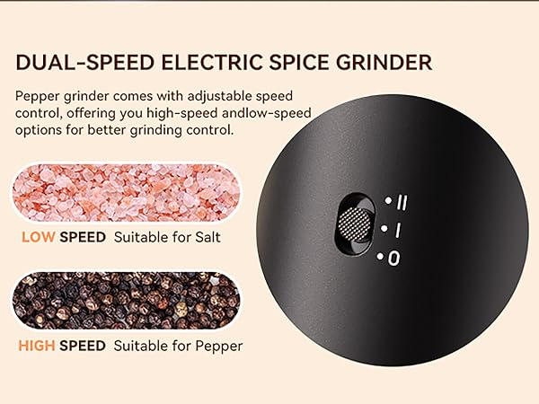 Dual-Speed Electric Spice Grinder